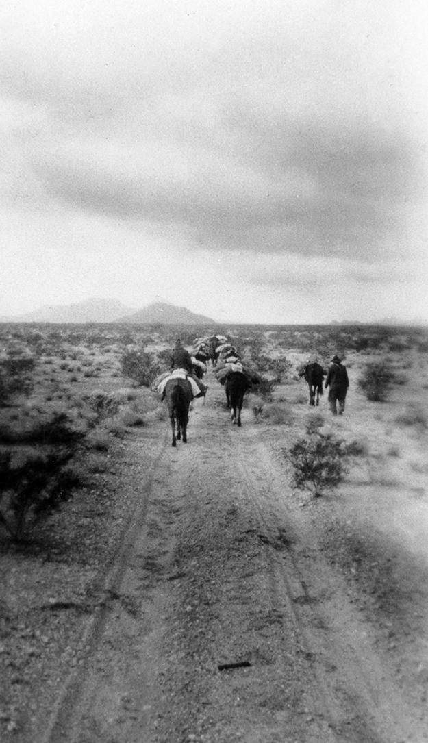 Sand dune field at Pinacate Biosphere Reserve