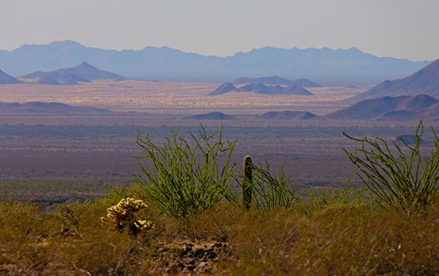 Lava field at Pinacate Biosphere Reserve